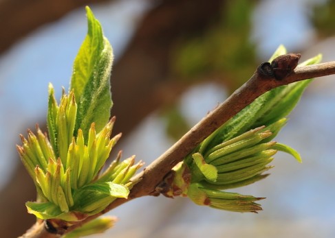 ���پGԭ��-�L(zh��ng)ɳ�Ϻ�����