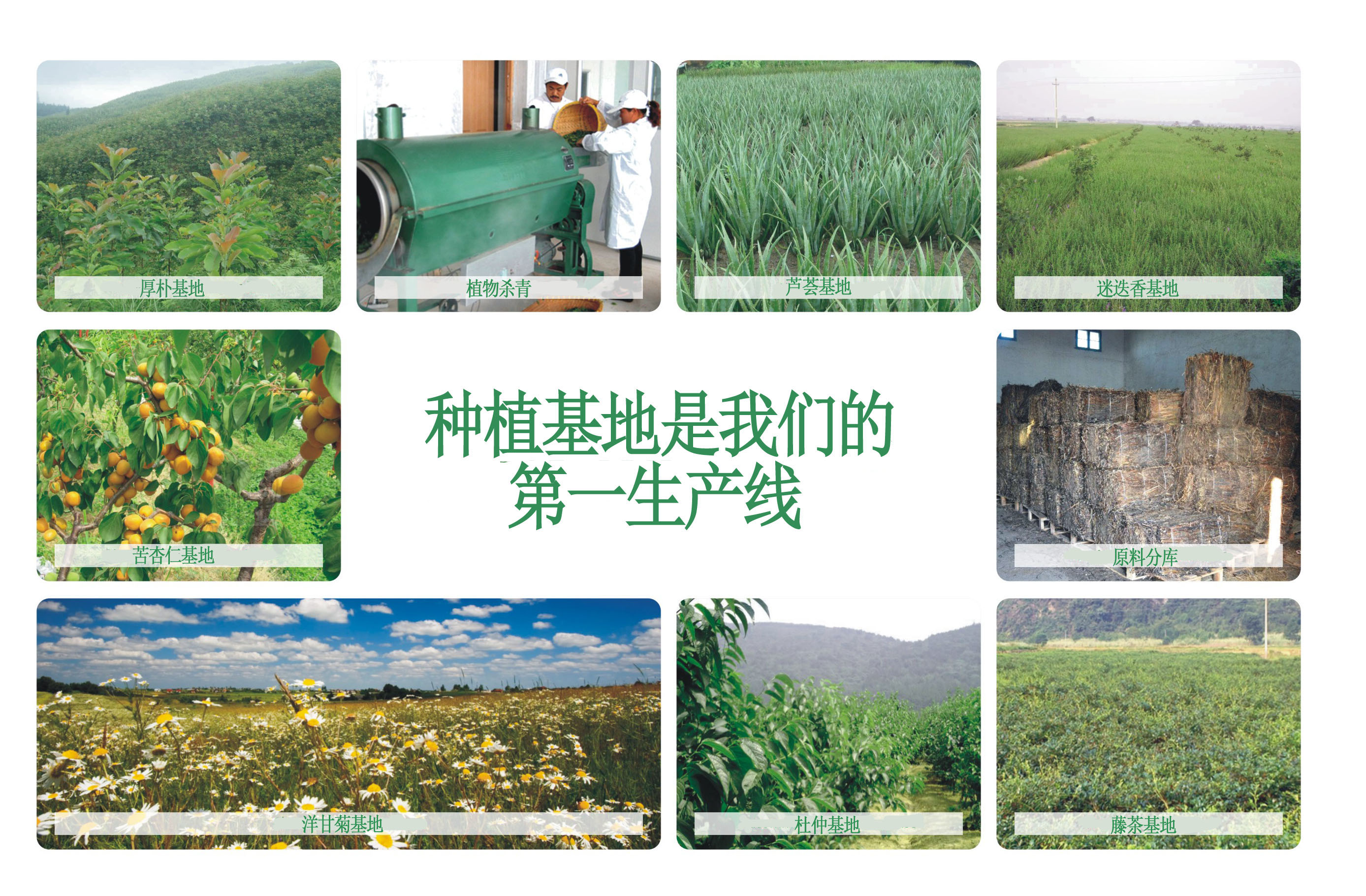 ���پGԭ�ᡢ���_�������Ϻ����������y���Gԭ�����ٲ���ȡ���������÷������÷���������ȡ�����ͺ�����������ֲ����ȡ��