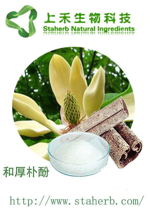 ���ͺ��Ӻ����ȡ��-�Ϻ�����