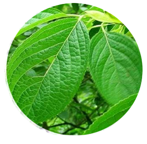 ������ȡ��Gԭ���Ϻ����������ȡ��Gԭ���Ϻ�����