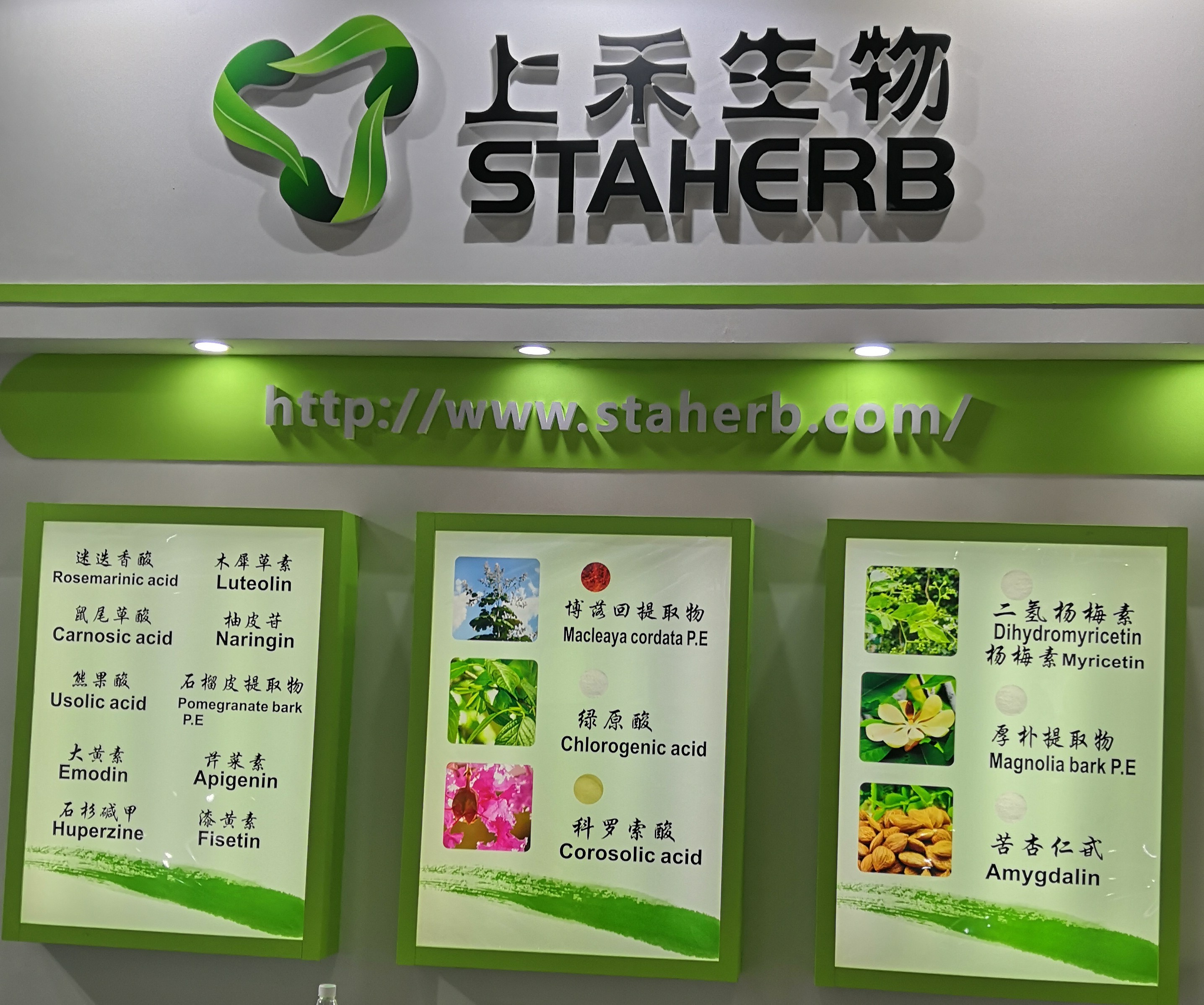  �����ؽY(ji��)��(g��u)��������Ч�Ͷ����������ⶾ�����[�����������������������ߵ�ˎ������